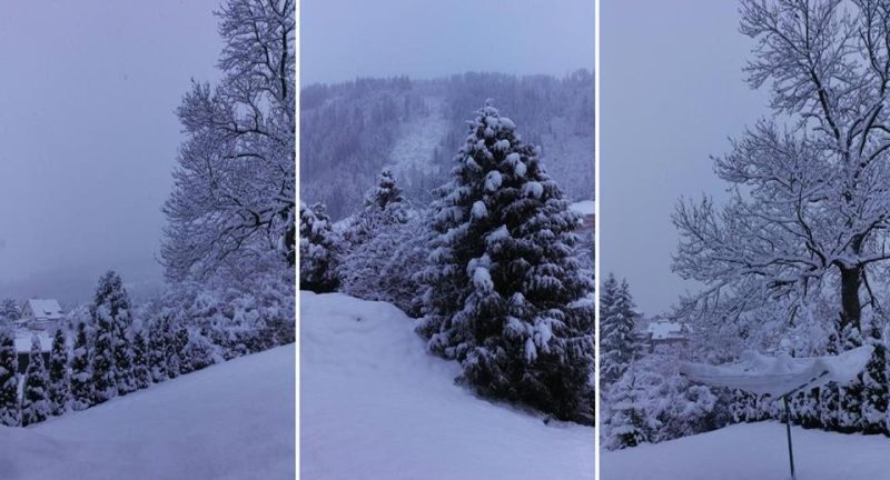 Behavazott fák a Murau környéki túraútvonalakon